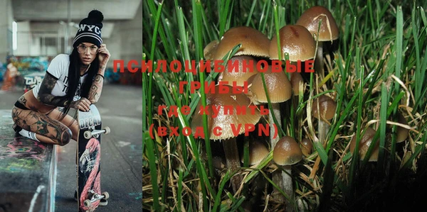не бодяженный Баксан
