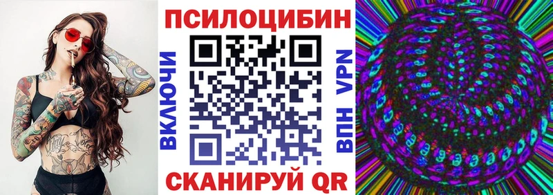 наркота  mega tor  нарко площадка состав  Новый Оскол  Псилоцибиновые грибы Psilocybine cubensis 